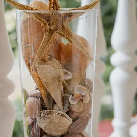 Tiam Apartmán Pag Town