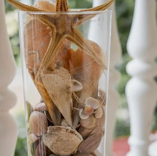 Tiam Apartman Pag Town